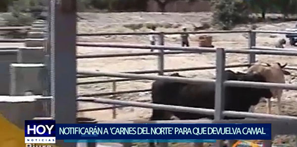 Piura: Notificarán notarialmente a Carnes de Norte para que devuelva camal