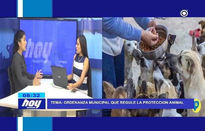 Chiclayo: Ordenanza Municipal que regule la protección animal