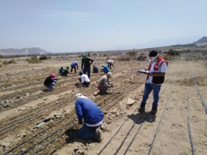 SUNAFIL VIENE ATENDIENDO MÁS DE MIL 200 DENUNCIAS EN LA REGIÓN LA LIBERTAD 