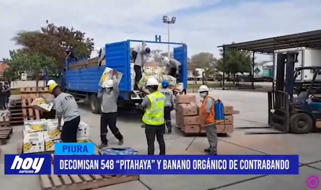 Piura: Decomisan 548 “pitahaya” y banano orgánico de contrabando Piura: Decomisan 548 “pitahaya” y banano orgánico de contrabando