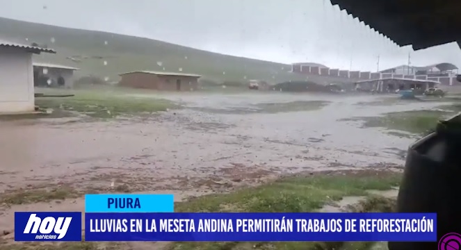 Piura: Lluvias en la Meseta Andina permitirán trabajos de reforestación Piura: Lluvias en la meseta andina permitirán trabajos de reforestación