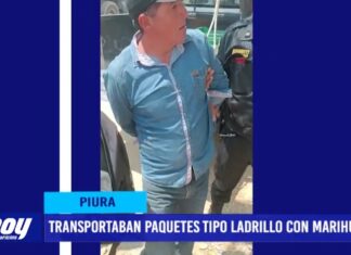 Piura: Transportaban paquetes tipo ladrillo con marihuana tráfico ilícito de drogas