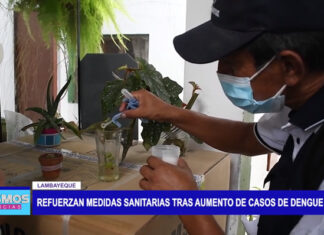 Lambayeque: Refuerzan medidas sanitarias tras aumento de casos de Dengue