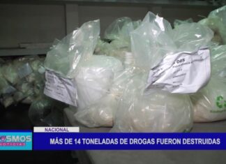 Nacional: Más de 14 toneladas de drogas fueron destruidas