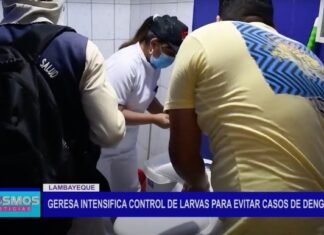 Lambayeque: Geresa intensifica control de larvas para evitar casos de dengue