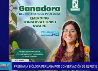 Nacional: Premian a bióloga peruana por conservación de especie nativa