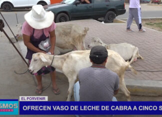 El porvenir: Ofrecen vaso de leche de cabra a cinco soles