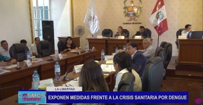 medidas dengue