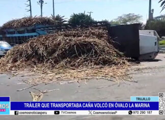 Tráiler que transportaba caña volcó en Óvalo La Marina