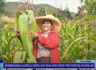 Nacional: indemnizarán a agricultores que sean afectados por eventos naturales
