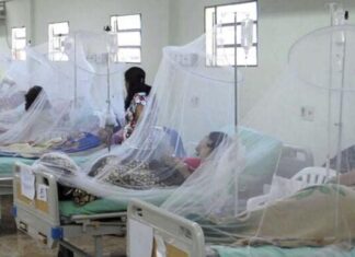Piura: se necesitan más recursos y acciones para la lucha contra el dengue