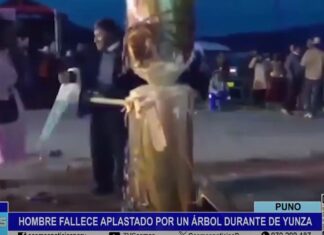 Puno: hombre falleció aplastado por un árbol durante de yunza