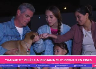 ‘Vaguito’, el ‘Hachiko peruano’: Película peruana muy pronto en cines