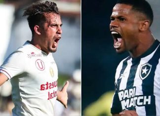 Universitario en la Copa Libertadores 2024: Tabla de Posiciones del Grupo D