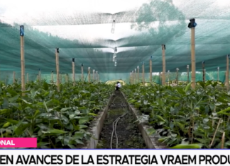 Exponen avances de la estrategia VRAEM productivo