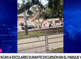 Abejas atacan a escolares durante excursión en el parque Yortuque
