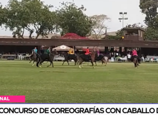 Liberteñas ganan concurso de coreografías con caballo de paso