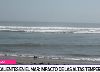 Aguas calientes en el mar: Impacto de las altas temperaturas