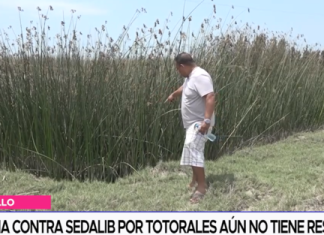 Denuncia contra Sedalib por totorales aún no tiene respuesta