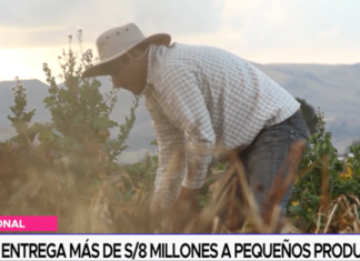MIDAGRI entrega más de s/8 millones a pequeños productores