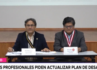 Colegios profesionales piden actualizar plan de desarrollo