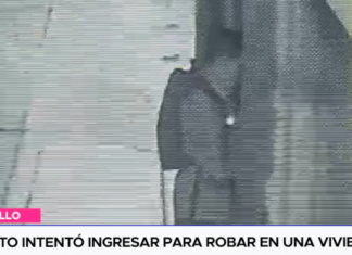 Sujeto intentó ingresar para robar en una vivienda Sujeto intentó ingresar para robar en una vivienda