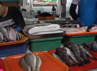 El precio del kilo de pota se mantiene en el Mercado Palermo